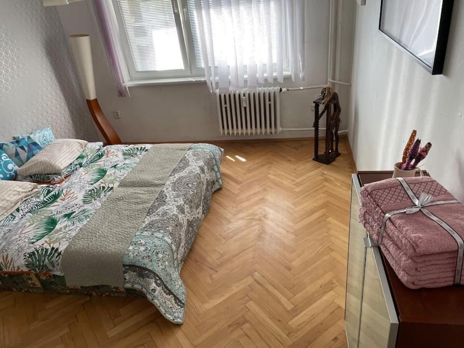 2,5 Izbovy Apartman V Ruzinove S Parkovanim Zdarma บราติสลาวา ภายนอก รูปภาพ